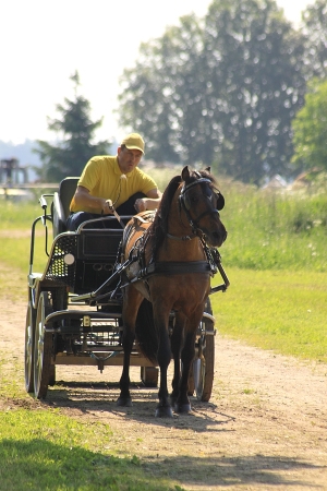Andrus Kallaste ja Veto 2013 aasta sõidu-ja veokatsetel
