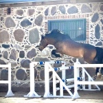 1D62A0F6-2EB7-492E-8CC7-62C58323C092