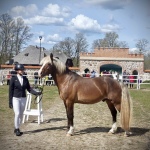 2D57824E-66BA-4369-8126-A7FEE17F08AB