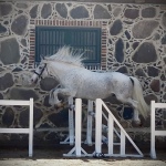 CECB4C7B-150B-4CB0-8D30-3CB5B84938B9