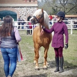 E85A73AD-8651-4D2C-B3D7-620403F7A18C