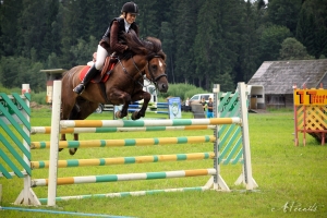 Triini ja Vermut II 896 E, VI eesti hobuse päev