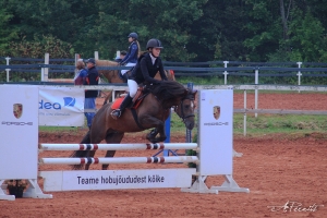 Triini ja Vermut II 896 E