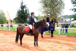 Triini Viks ja Vermut II 896 E