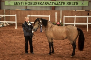 Tohtri Error auhindamine