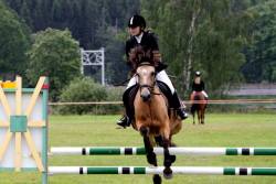 20503843_443406936052788_461614016_n