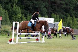 20503968_443406839386131_490133903_n