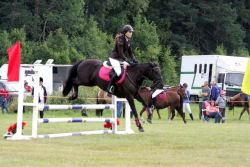 20504128_443406756052806_1855996166_n