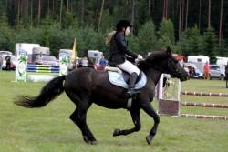 20504231_443406739386141_973229419_n