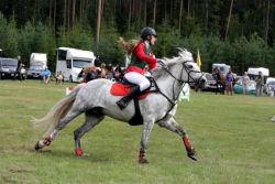 20527427_443406812719467_1851319072_n