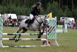 20561696_443406776052804_379597433_n