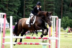 20561722_443407152719433_46907119_n