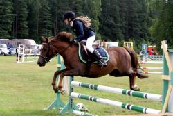 20561768_443406796052802_2130616232_n