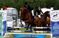 20561985_443407059386109_1194552157_n