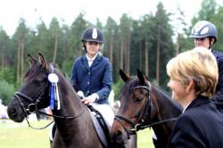 20562140_443407209386094_1160454729_n