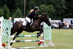 20614254_443406902719458_478576259_n