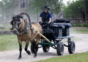 Tohtri Error ja Andreas Pernits
