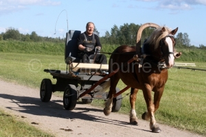Kentuk ja Andrus Andresson Aaviku talust