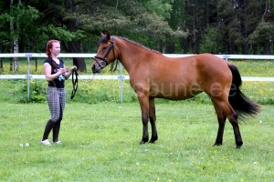 Vilandra, s 2013 i. Veto 852 E